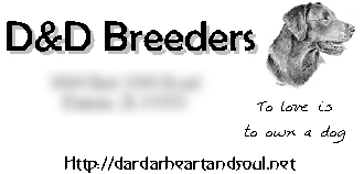 D&D Breeders Business Card